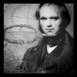 Charles Daewin
