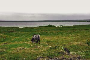 IJSLAND