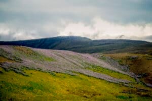 IJSLAND