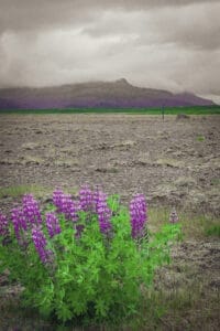 IJSLAND