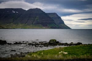 IJSLAND