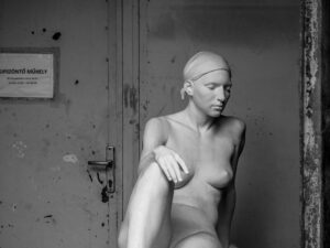 De kunstacademie
